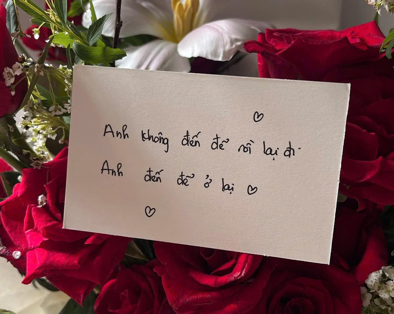 Anh không đến để rồi lại đi. Anh đến để ở lại.